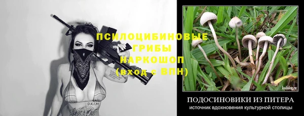 дмт Надым