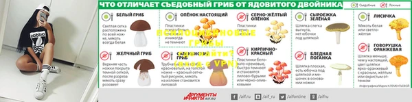дмт Надым