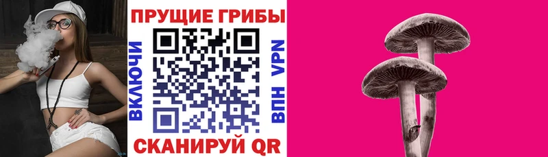 Галлюциногенные грибы MAGIC MUSHROOMS  omg как зайти  Далматово 